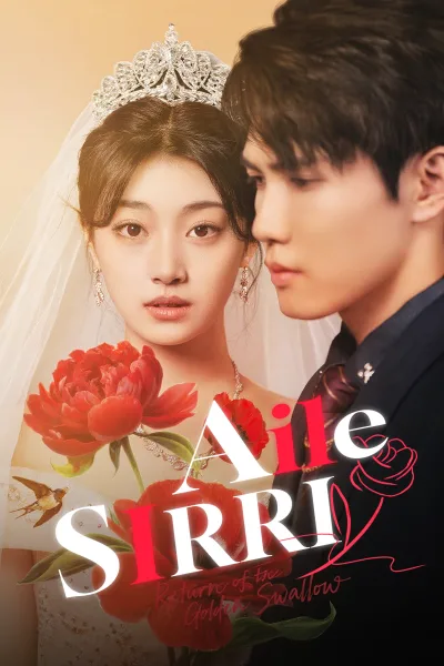 Aile Sırrı poster