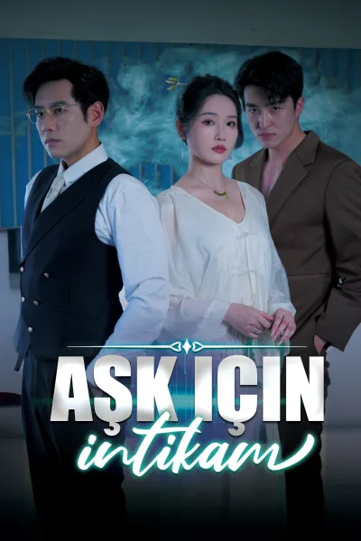Aşk için intikam poster