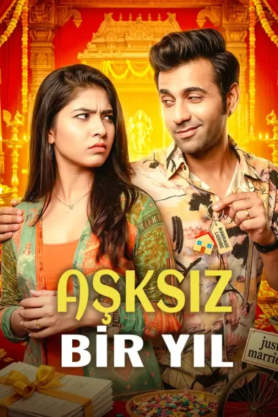 Aşksiz Bir Yil poster