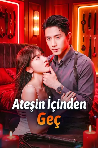 Ateşin İçinden Geç poster