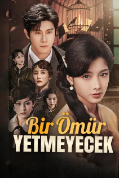 Bir Ömür Yetmeyecek poster