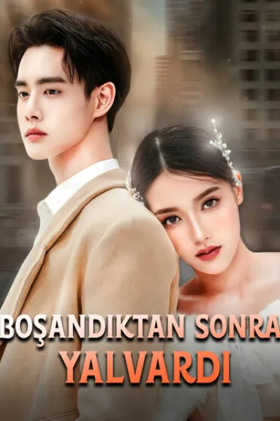 Boşandıktan Sonra Yalvardı poster