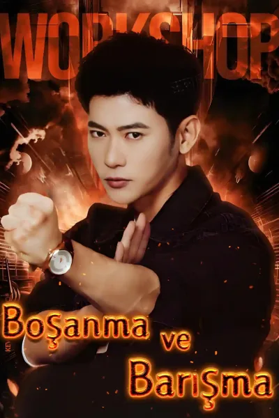 Boşanma ve Barışma poster