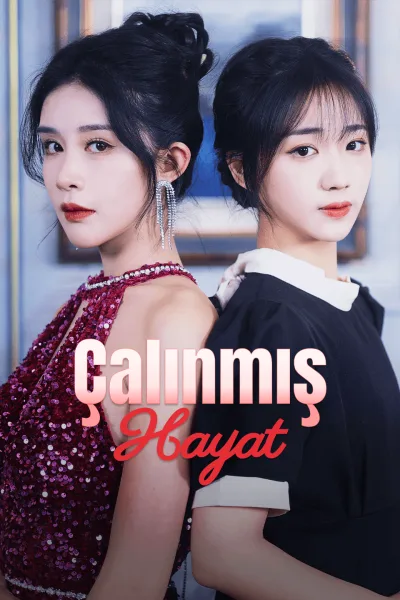 Çalınmış Hayat poster