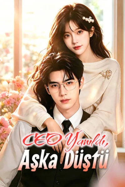 CEO Yanıldı, Aşka Düştü poster