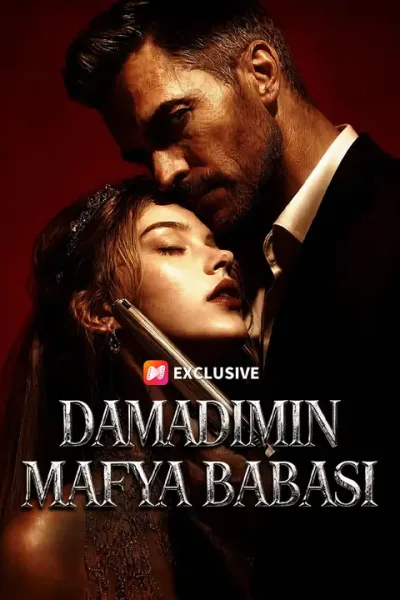 Damadımın Mafya Babası poster