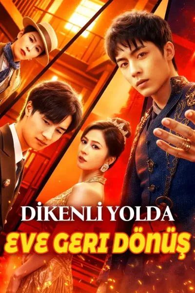 Dikenli Yolda Eve Geri Dönüş poster