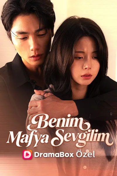 (Dublajlı) Benim Mafya Sevgilim poster