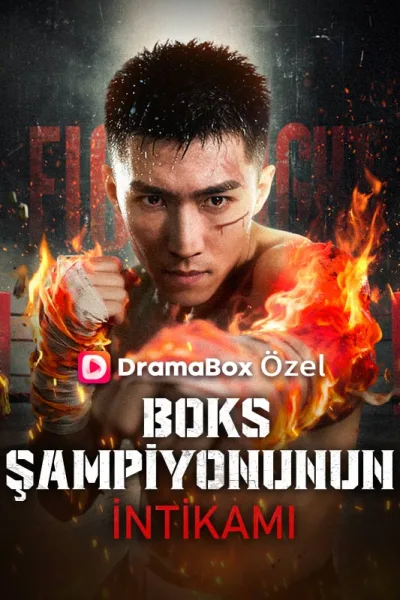 (Dublajlı ) Boks Şampiyonunun İntikamı poster
