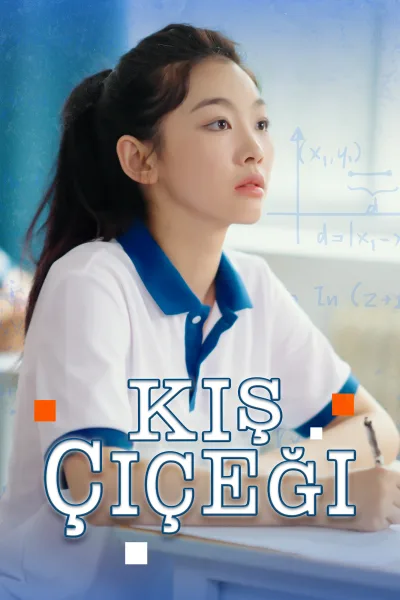 (Dublajlı) Kış Çiçeği poster
