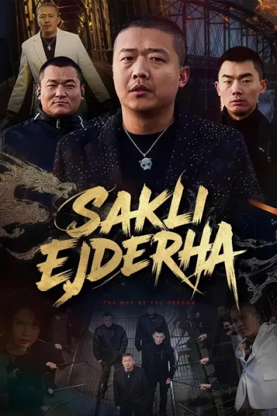(Dublajlı) Saklı Ejderha poster