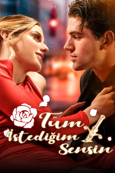(Dublajlı) Tüm İstediğim Sensin poster