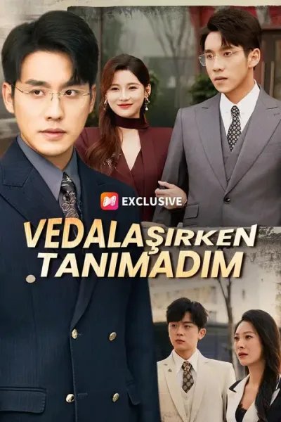 (Dublajlı) Vedalaşırken Tanımadım poster