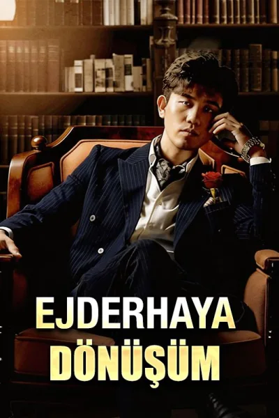 Ejderhaya Dönüşüm poster