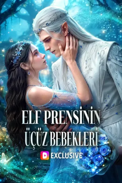 Elf Prensi̇ni̇n Üçüz Bebekleri̇ poster