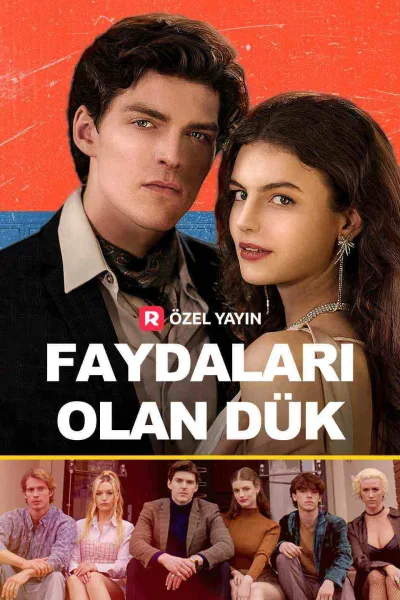 Faydaları Olan Duke poster