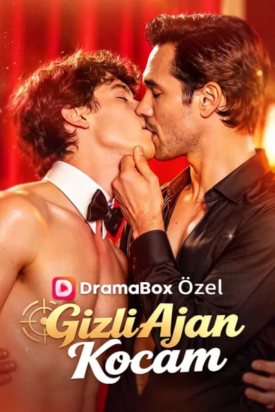Gizli Ajan Kocam poster