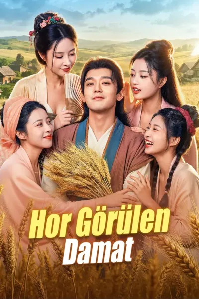 Hor Görülen Damat(Dublajlı) poster