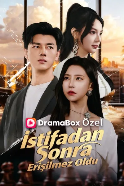 İstifadan Sonra Erişilmez Oldu poster