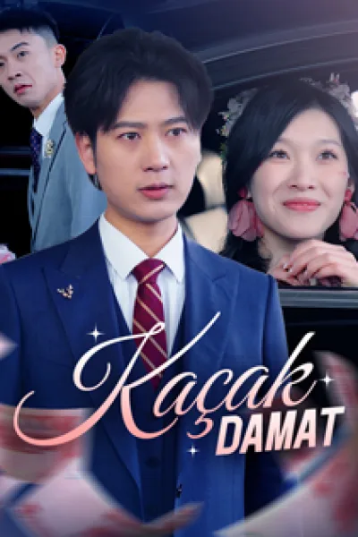 Kaçak Damat poster
