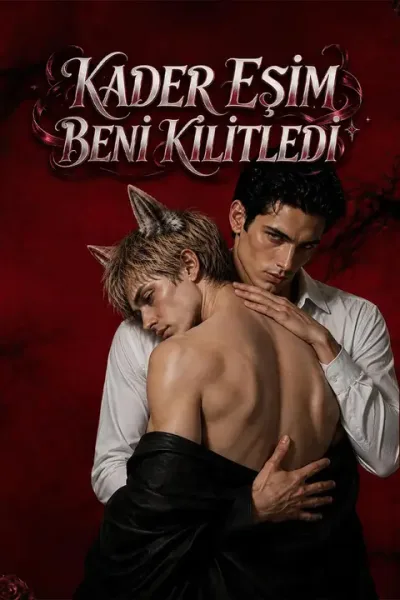 Kader Eşim Beni Kilitledi poster