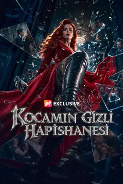 Kocamın Gizli Hapishanesi poster