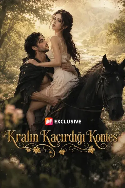 Kralın Kaçırdığı Kontes poster