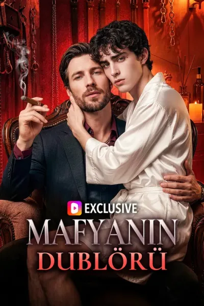 Mafyanin Dublörü poster
