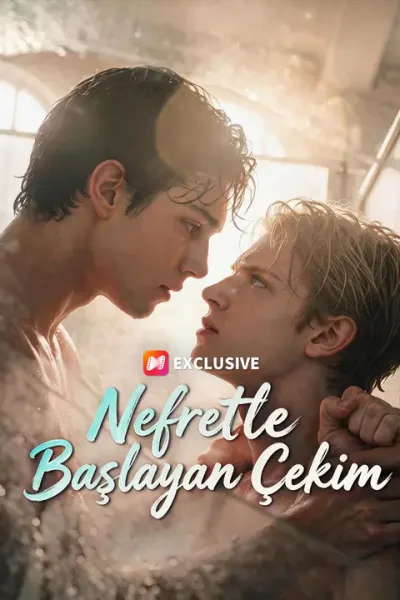 Nefretle Başlayan Çekim poster