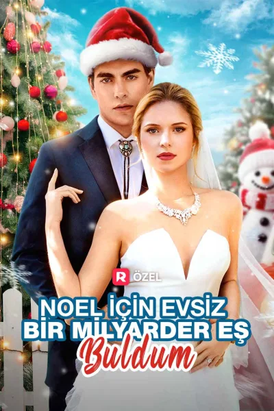 Noel için evsiz bir milyarder eş buldum izle