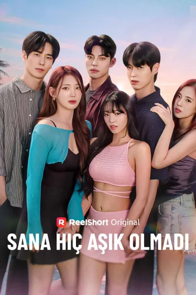 Sana Hiç Aşık Olmadı poster