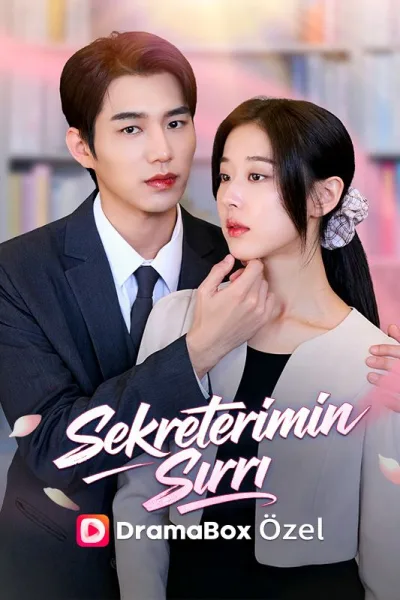 Sekreterimin Sırrı poster