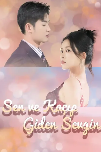 Sen ve Sevgin Kaçıp Gittiniz poster