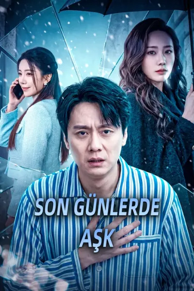 Son Günlerde Aşk poster