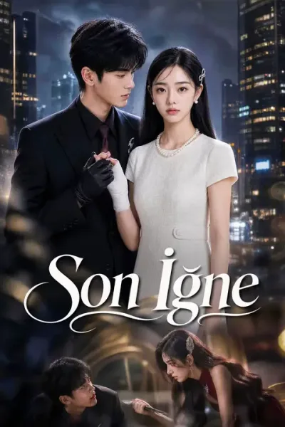 Son İğne poster