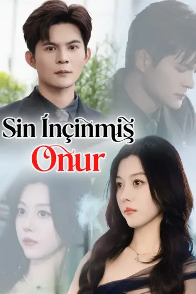 Son İncinmiş Onur poster
