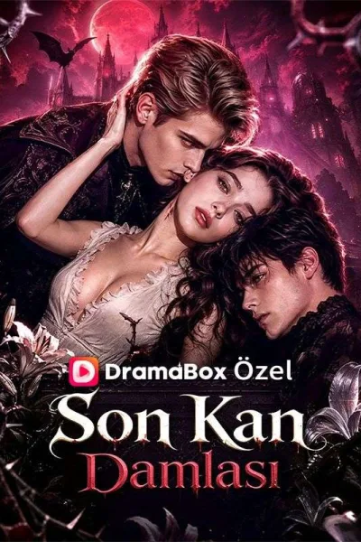 Son Kan Damlası poster