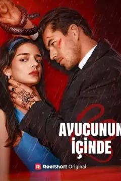 Avucunun İçinde izle