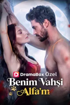 Benim Vahşi Alfa'm izle