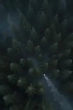 Canavara Kurban izle