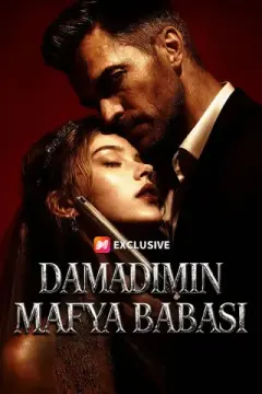 Damadımın Mafya Babası izle