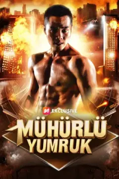 (Dublajlı) Mühürlü Yumruk izle