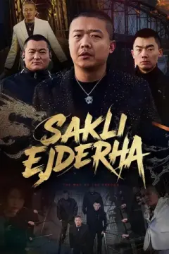 (Dublajlı) Saklı Ejderha izle