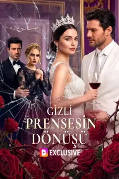 Gizli Prensesin Dönüşü izle