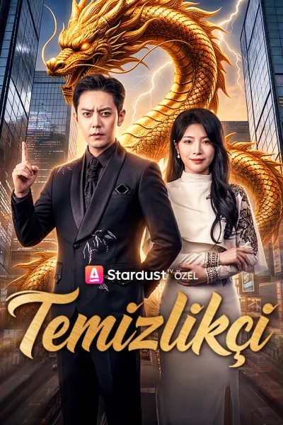 Temizlikçi poster