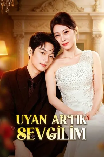 Uyan Artık Sevgilim poster