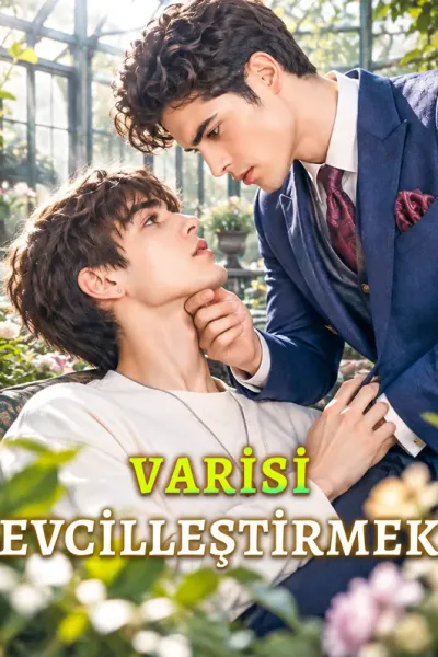 Vari̇si̇ Evci̇lleşti̇rmek poster